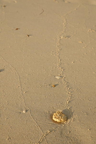 20091229-0747.jpg