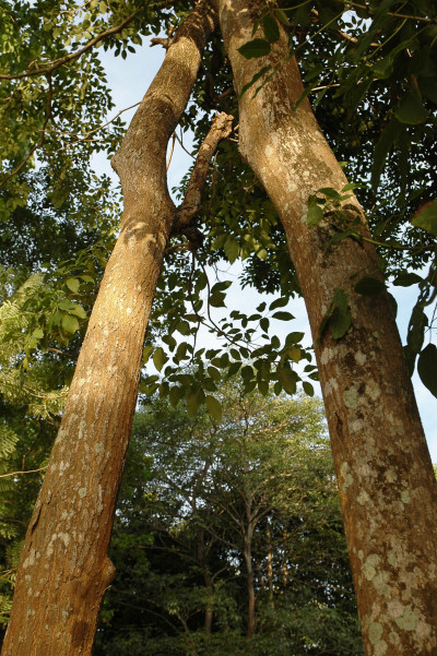 20091229-0758.jpg