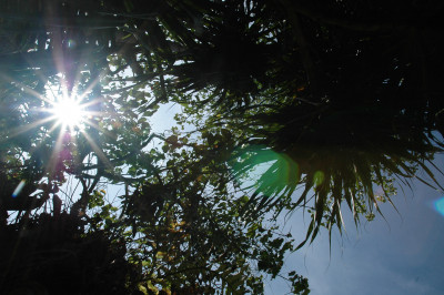 20091229-0810.jpg