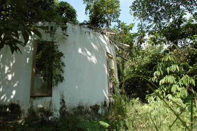 20091229-0839.jpg