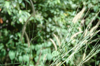 20091229-0855.jpg