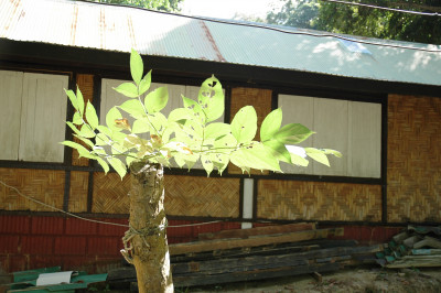 20091229-0858.jpg
