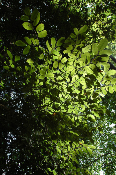 20091229-0865.jpg