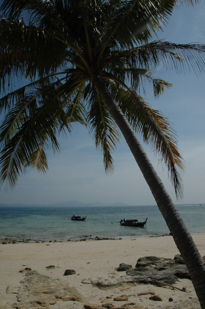 20091229-0886.jpg