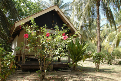 Malaysia and Thailand - Christmas 2009