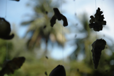 20091229-0929.jpg