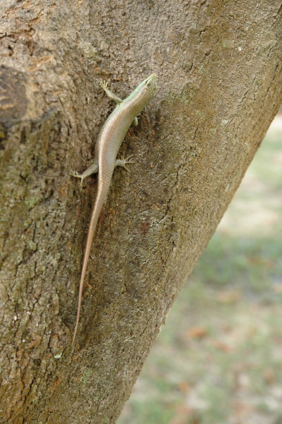 20091229-0934.jpg