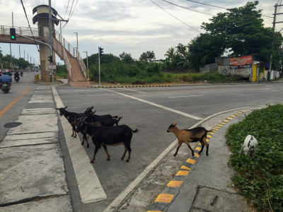 20150405-0090.jpg