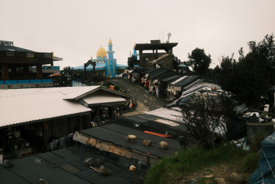 20250106-0066.jpg