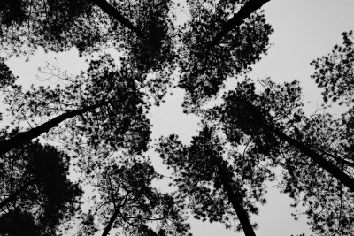 20250106-0160.jpg