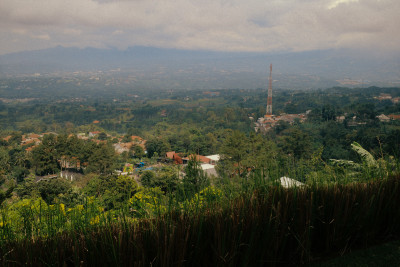 20250104-0012.jpg