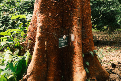 20250104-0310.jpg