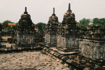 20250108-0261.jpg