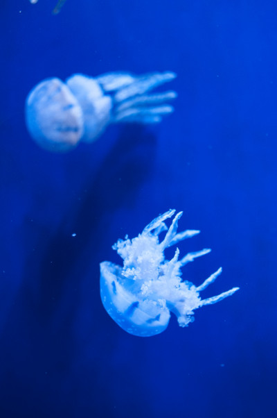 20140701-0144.jpg