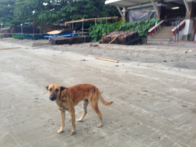 20140703-0044.jpg