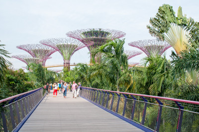 20140712-0387.jpg