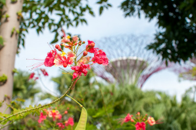 20140712-0392.jpg