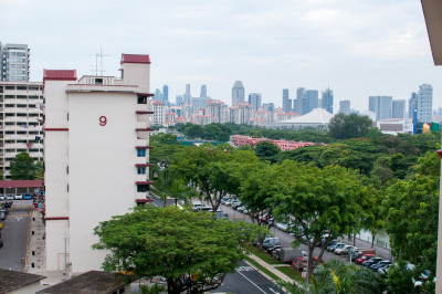 20140713-0456.jpg