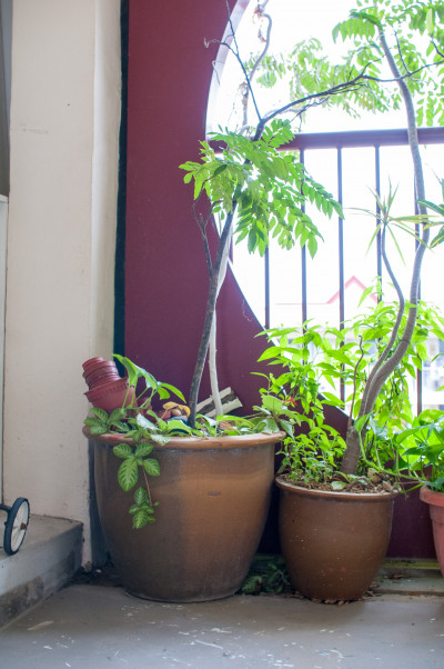 20140713-0458.jpg