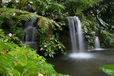 20120110-0005.jpg