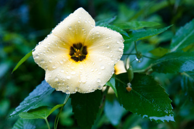 20120110-0008.jpg