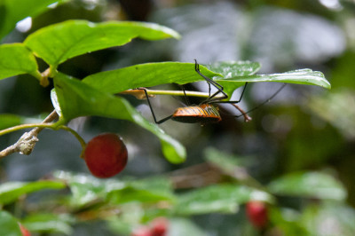 20120110-0034.jpg