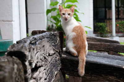 20120110-0149.jpg
