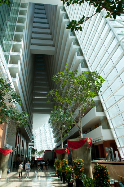 20120115-0413.jpg