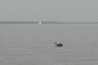 20250419-0053.jpg