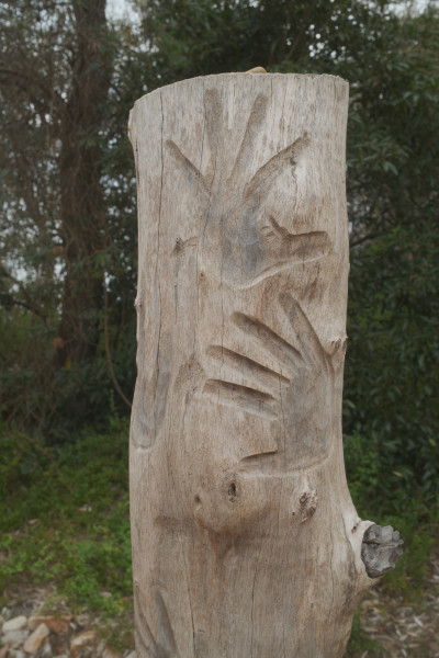 20250419-0066.jpg