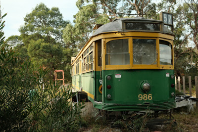 20250419-0087.jpg