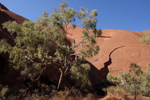 Simpson Desert - Highlights