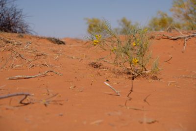 20190916-0138.jpg