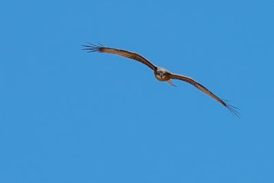 20190917-0240.jpg