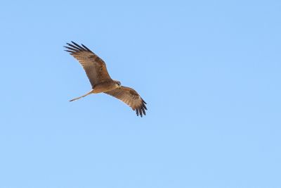 20190917-0241.jpg