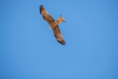 20190917-0243.jpg