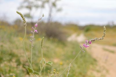 20190921-0419.jpg