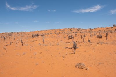 20190922-0486.jpg