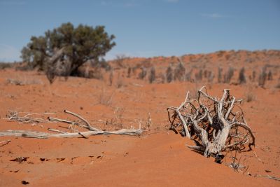 20190922-0488.jpg