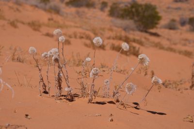 20190923-0545.jpg