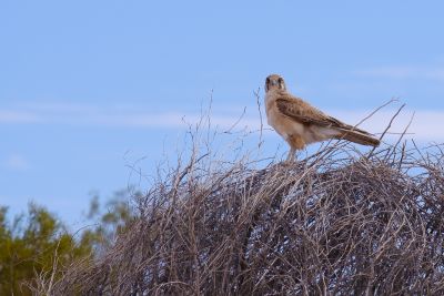 20190923-0559.jpg