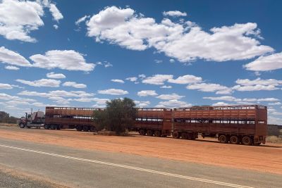 20190927-0466.jpg