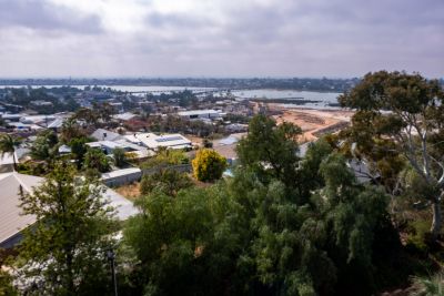 20191003-0894.jpg