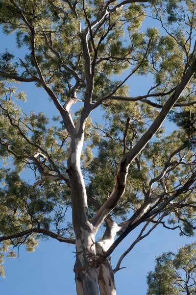 20110418-0232.jpg