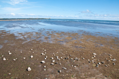 20110422-0533.jpg