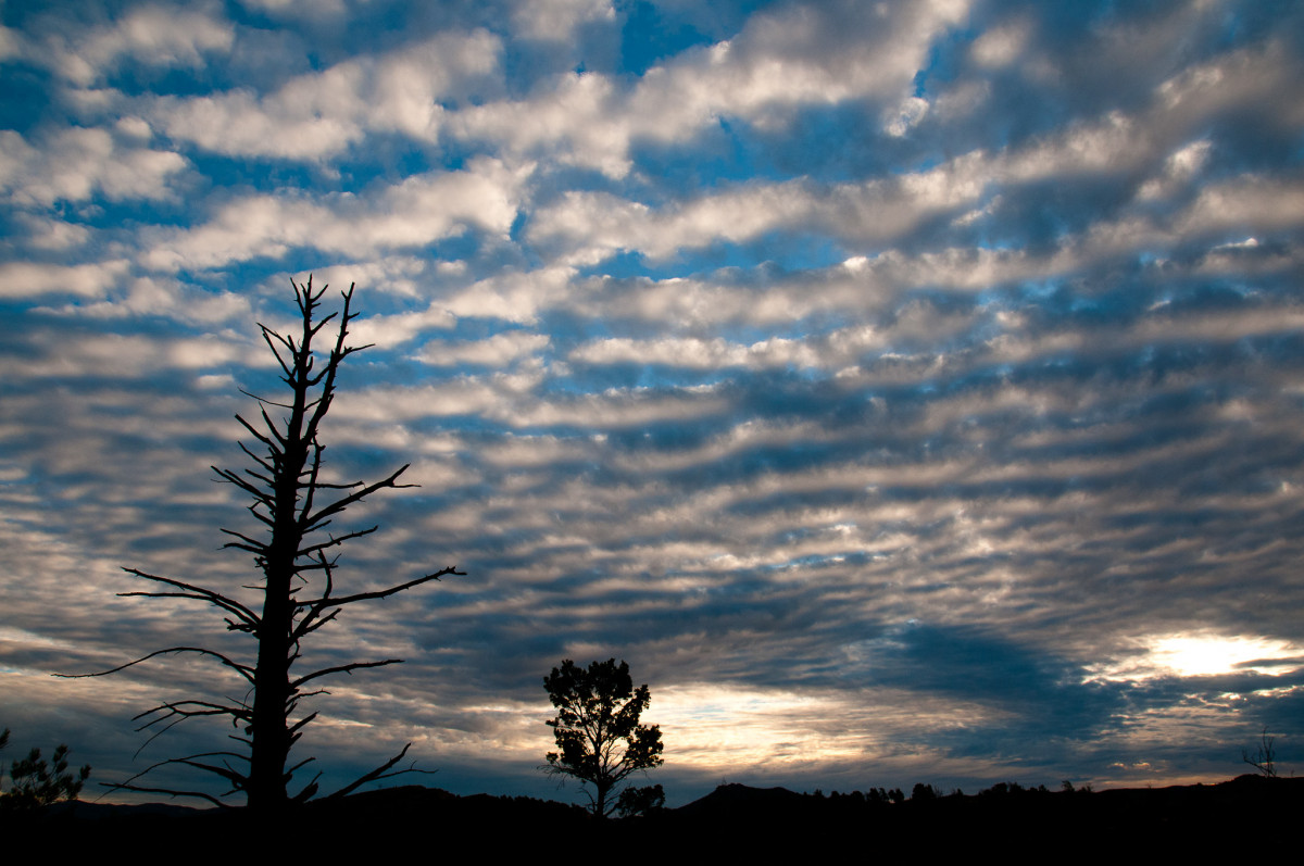 20110419-0466