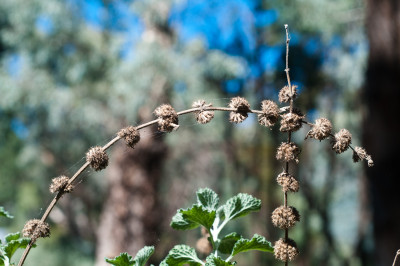 20110418-0237.jpg