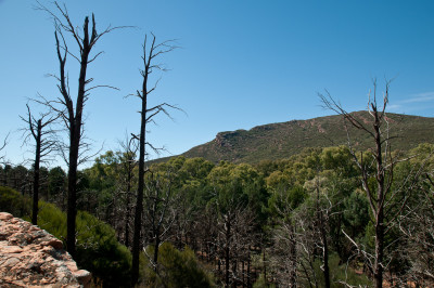 20110418-0288.jpg