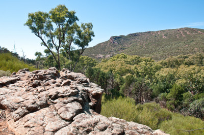 20110418-0295.jpg