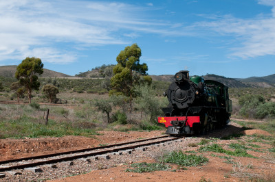 20110419-0365.jpg
